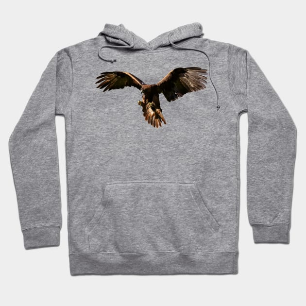 Adler Eagle Freedom Spirit Liberty Power Courage Hoodie by twizzler3b